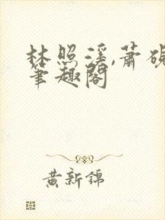 林照溪,萧砚川笔趣阁封面