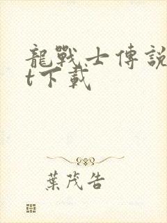 龙战士传说txt下载