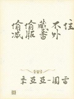 偷偷藏不住未删减版番外