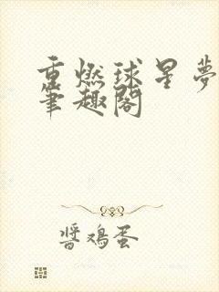 重燃球星梦小说笔趣阁