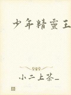 少年精灵王