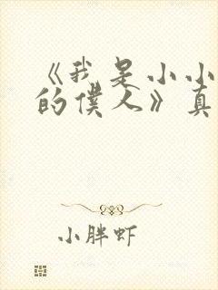 《我是小小魅魔的仆人》真人版封面
