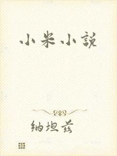 小米小说封面