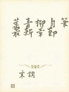 叶青柳月笔趣阁最新章节