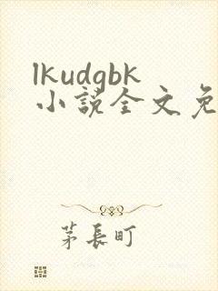 lkudgbk小说全文免费阅读笔趣阁无弹窗
