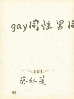 gay同性男同