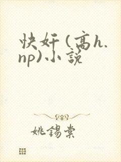 快奸 (高h.np)小说