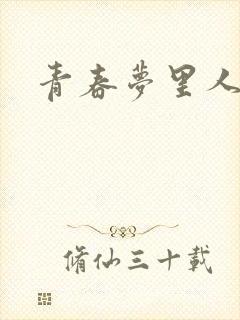 青春梦里人封面