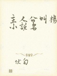 主人公叫杨凡的小说名