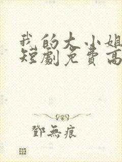 我的大小姐老婆短剧免费高清完整版