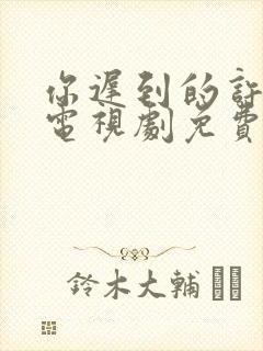 你迟到的许多年电视剧免费