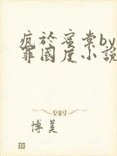 疯于蜜棠by无罪国度小说免费阅读