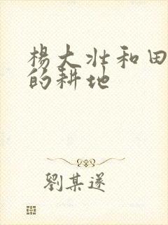 杨大壮和田桂花的耕地