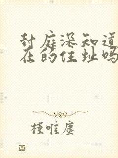 封庭深知道容现在的住址吗