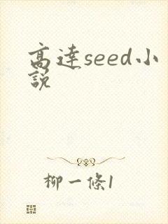 高达seed小说