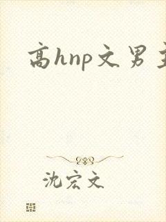 高hnp文男主
