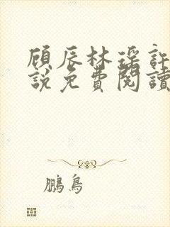 顾辰林瑶许念小说免费阅读