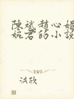 陈斌赵心媚和高婉君的小说