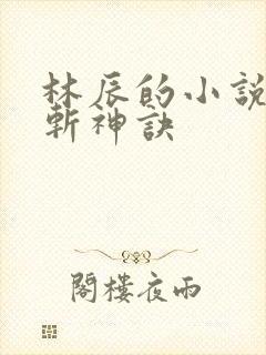 林辰的小说九天斩神诀