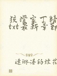 狡猾家丁精校版txt最新章节封面