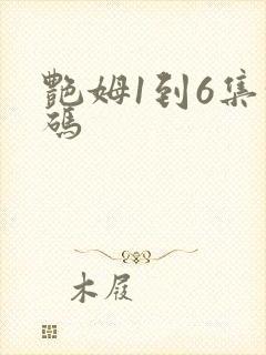 艳姆1到6集转码