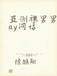 亚洲裸男男同gay网站