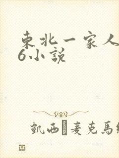 东北一家人1一6小说