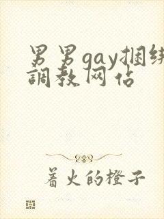 男男gay捆绑调教网站封面