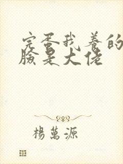 完蛋我养的小白脸是大佬