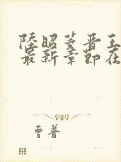 陆昭菱晋王小说最新章节在线阅读封面