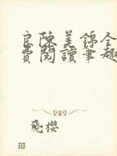 良陈美锦全文免费阅读笔趣阁封面