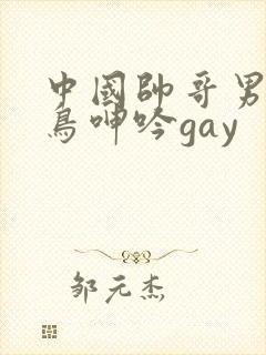 中国帅哥男同大鸟呻吟gay封面