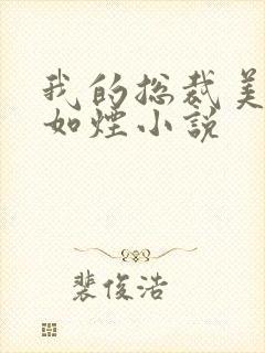 我的总裁美母柳如烟小说
