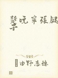 楚晚宁张腿放棋子封面