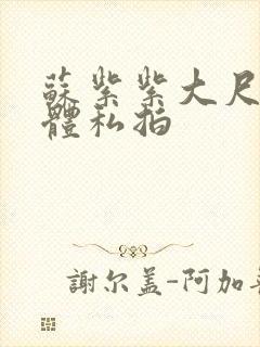 苏紫紫大尺度裸体私拍封面