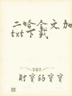 二哈全文加番外txt下载