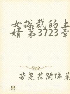 女总裁的上门女婿 第3723章