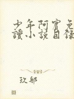 少年阿宾免费阅读小说目录全文