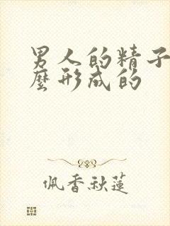 男人的精子是怎么形成的