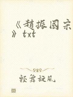 《赵振国宋婉清》txt