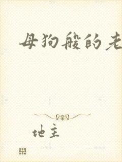 母狗般的老师封面