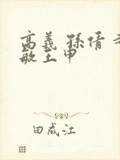 高义 孙倩 赵敏王申