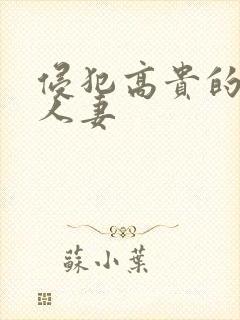 侵犯高贵的美丽人妻封面
