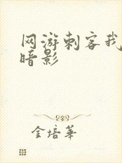 网游刺客我即是暗影