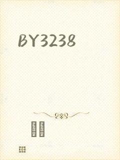 BY3238