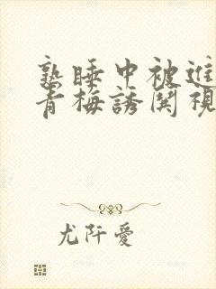 熟睡中被进了H青梅诱哄视频