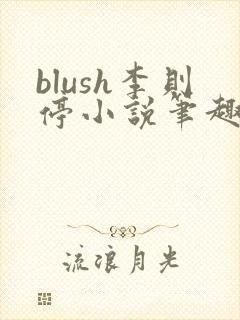blush李则停小说笔趣阁