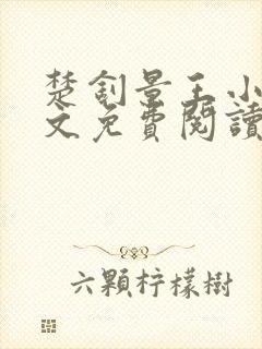 楚钊景王小说全文免费阅读