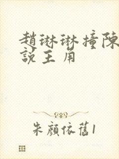 赵琳琳撞陈凡小说主角