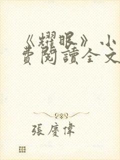 《耀眼》小说免费阅读全文